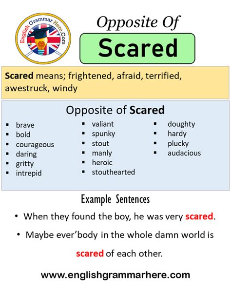 antonyms of frightened